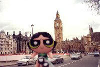 Buttercup in London